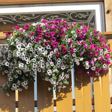 Otel Duc De Rohan Livigno