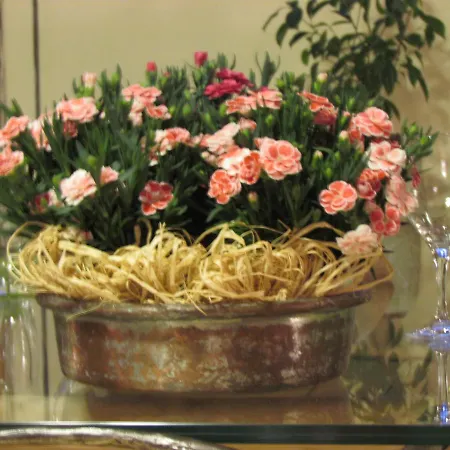Otel Duc De Rohan 3*